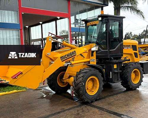 Pala Cargadora Michigan R45 IV Plus