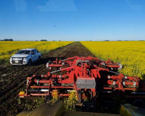 Acondicionador de Suelos Polifuncional Dems de 6 Mts