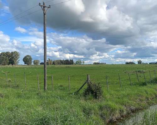 Chacra en Benito Juárez