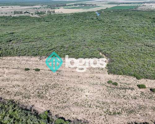 Campo en Venta de 385 Ha en Joaquín V. González, Salta