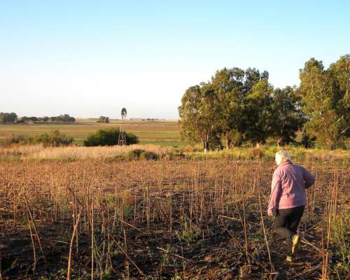 73ha en Camersa MZA con Riego y Alfalfas