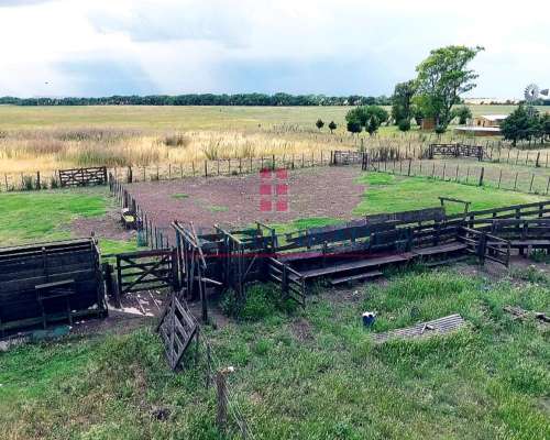 Excelente Campo Mixto en Venta. Juan N Fernandez - Necochea