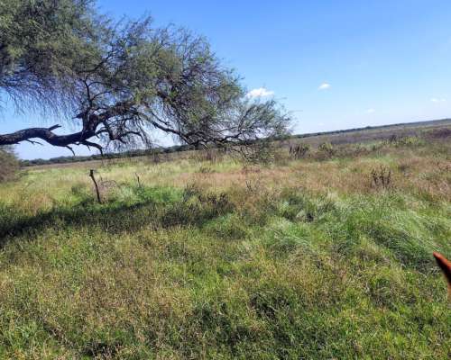 Capo Ganadero en Arriendo
