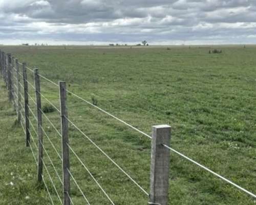 Venta Campo Ganadero 910 Ha Dolores Buen Acceso