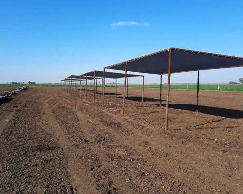 Sombras Móviles con Caños Petroleros