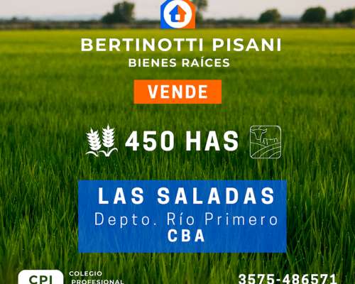 450 HA. en las Saladas