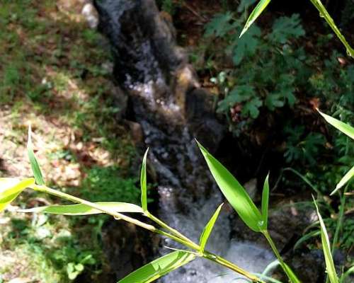 🏞️𝟑 𝐇𝐚𝐬 𝐓𝐫𝐚𝐬𝐥𝐚𝐬𝐢𝐞. 𝐋𝐨𝐦𝐚 𝐁𝐨𝐥𝐚 𝐂𝐛𝐚