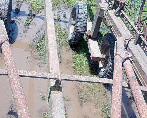 Rastrillo Balina de 14 Estrellas Impecable