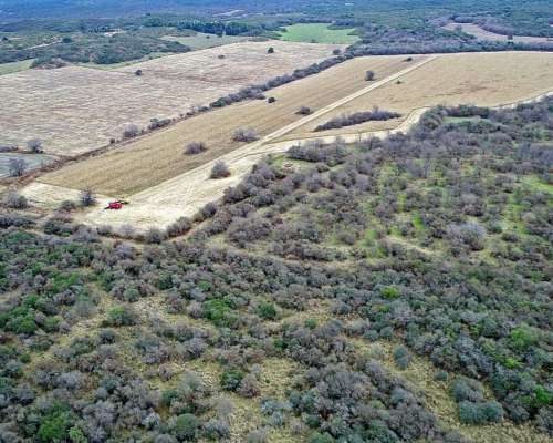 Campo Mixto 492 HA, Colon, Córdoba.