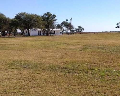 Campo Mixto 1500 Has. en Obispo Trejo, Cordoba