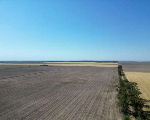 1000 Hectáreas Mixtas. Sobre Ruta.