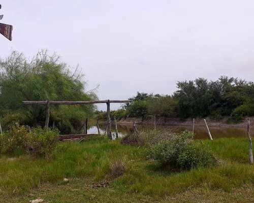Dueño Vende Campo Gato Colorado Agricola Ganadero
