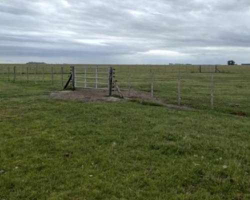 Venta Campo Ganadero 910 Ha Dolores Buen Acceso