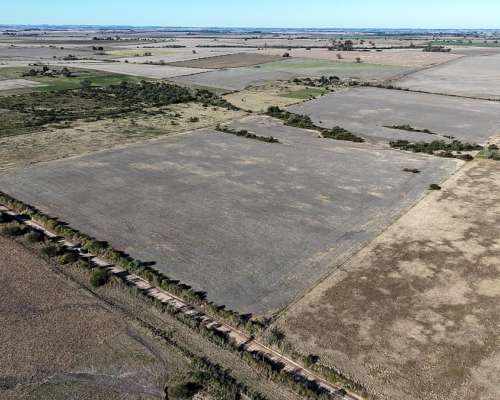 Campo Mixto Departamento Victoria