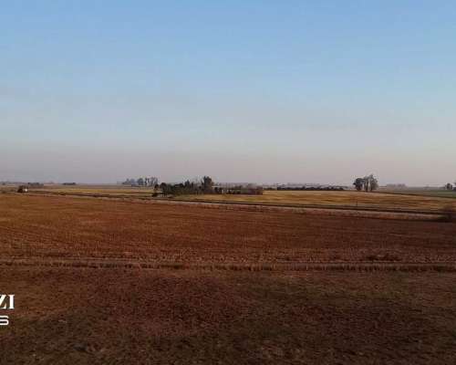 40 Has en San Genaro Sobre Ruta