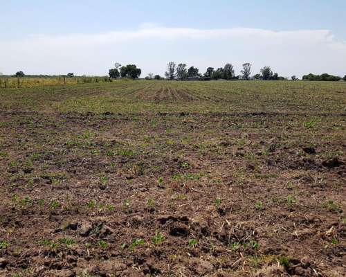 Se Venden 180 Has Zona Soledad.