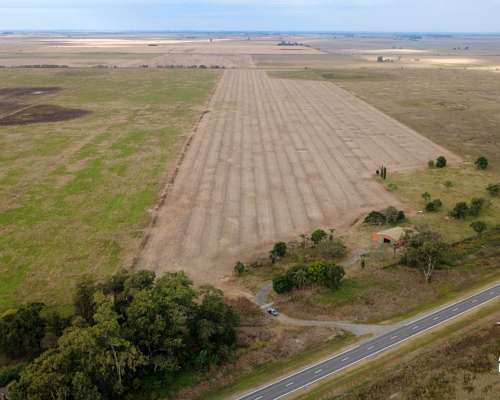Campo Agrícola de 31,1 Ha en la Pelada, Santa FE