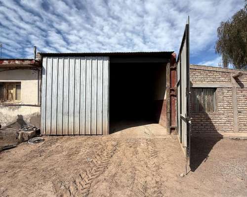 Finca de Viñedos Vitivinícola 34 Ha 2 Pozos,malla Anigranizo