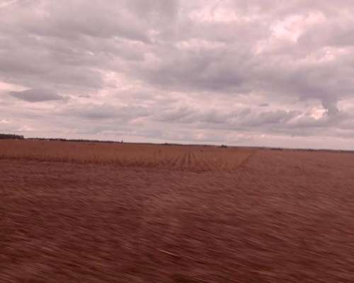 Agricola Oportunidad– Despeñaderos – Córdoba