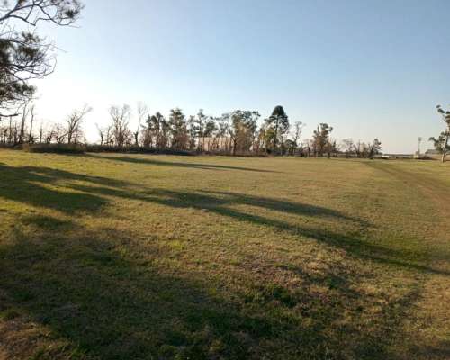 290 Ha 100 % Agrícolas. Campo de Excelencia