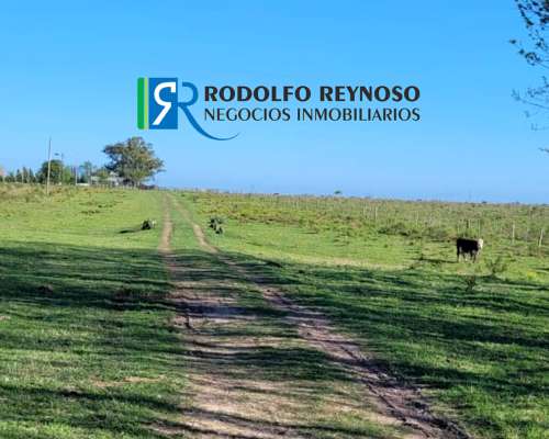 85 HA. Agrícolas en Cnia. Elía. Entre Ríos