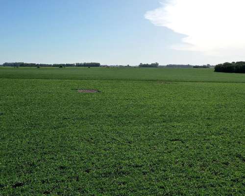 300 Has. Campo Agrícola en Capitán Sarmiento