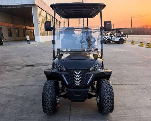 Golf Cart Electric Nexus 2/4/6 Asientos + Cajon