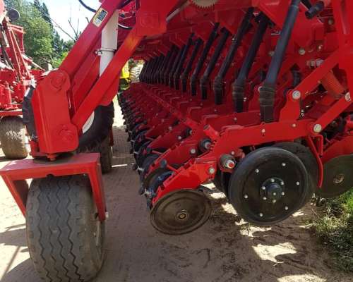 Semb Crucianelli G. Fino Pionera 4121