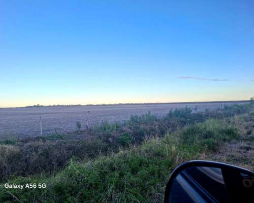 Venden 132 Ha Dep. las Colonias.( Virginia)