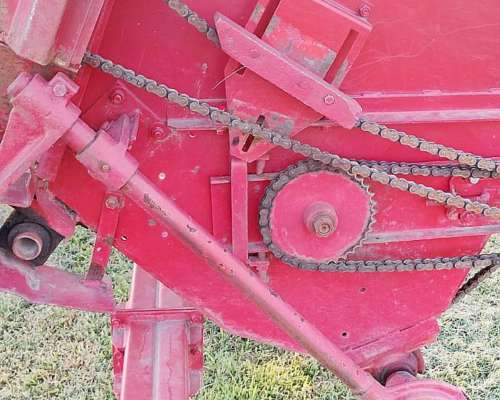 Girasolero Maizco de 10 a 70. año 1998.