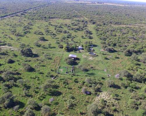 Campo Ganadero en Venta - 118 Has- Bovril, Dpto la PAZ