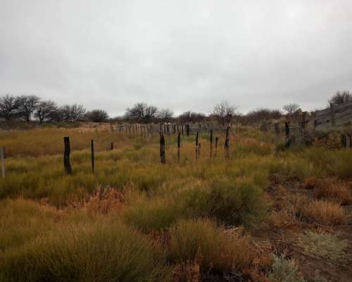 Campo Apto Coto de Caza