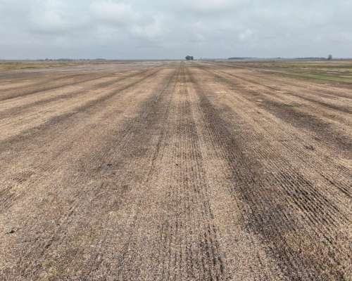 Crotto, Tapalqué, Buenos Aires - 440 Ha