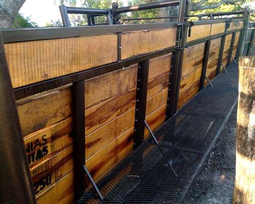 Arrendamiento Monte para Cria