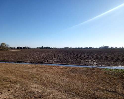 Vendo 18 Hectareas Agricolas - Ferreyra - Cordoba