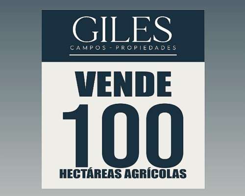 Oportunidad 100 Hectáreas Agricolas