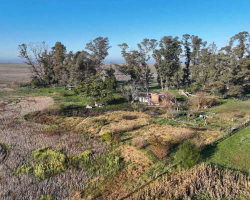 Pcia. de Buenos Aires - Carmen de Areco 66 Has