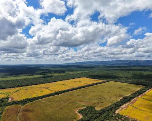 Pcia. de Salta - Rosario de la Frontera 906 Ha