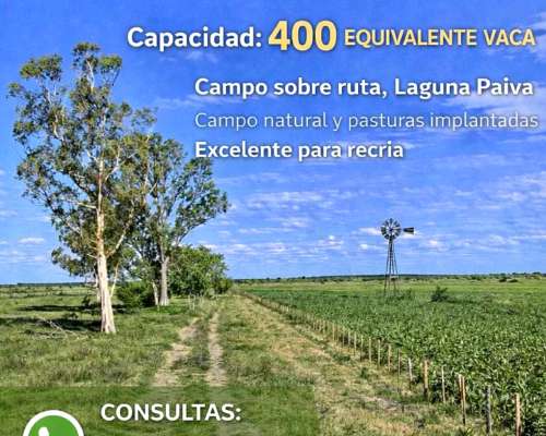 Capitalizacion Hacienda Laguna Paiva - Santa FE