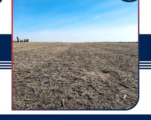 En Venta 300 HA. Metileo, la Pampa