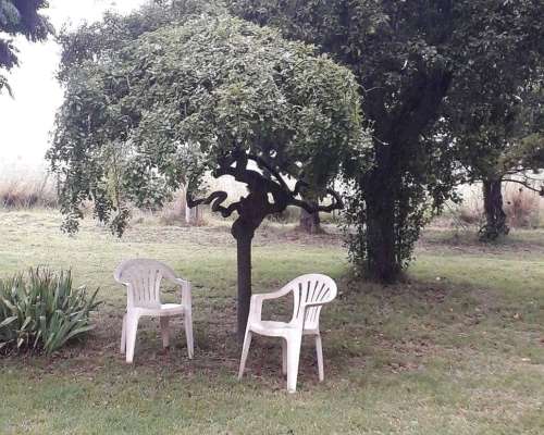 25 Hectáreas en Pedro Luro