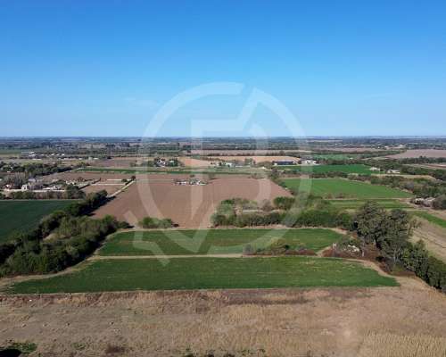 Terreno 20.000 M2 en Córdoba- Camino a San Carlos