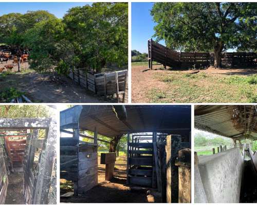 1.800ha Agricolaganaderas en General San Martin, Chaco