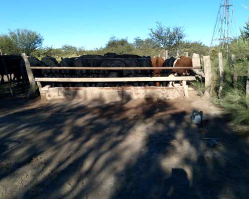 Se Venden 2 Campos de 2500 Has C/U Pegados.la Pampa