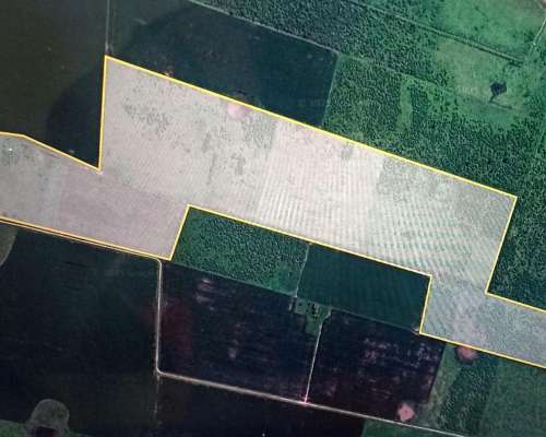 Campo 87 Has Mixtas Monte Vera