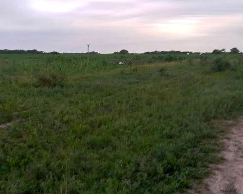 Campo Mixto 400has Tostado