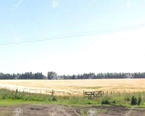 Campo en Venta de 190 Has en Tres Arroyos. Agricola