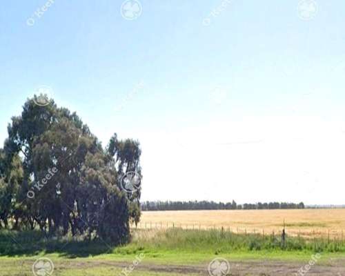 Campo en Venta de 190 Has en Tres Arroyos. Agricola