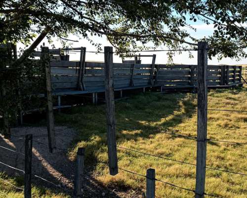 En Venta 300 Has en el Morro, San Luis