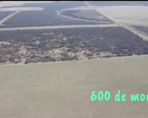 Se Venden 1138 Has Mixtas. a 20km de Santa Rosa LP